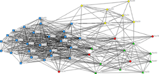 Bibliographic coupling network