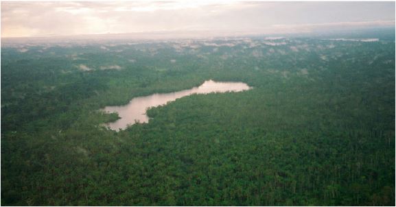 Floresta inundable al sur del río Napo. Vista de la Laguna Taracoa. (Walsh-Ecuador).