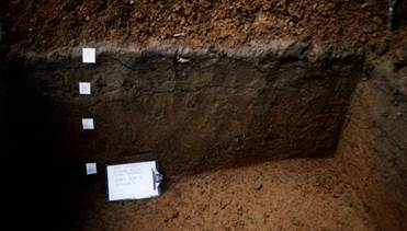 Perfil estratigráfico del sitio Pañayacú, con el estrato de arenas limosas grises sobre el estrato cultural.