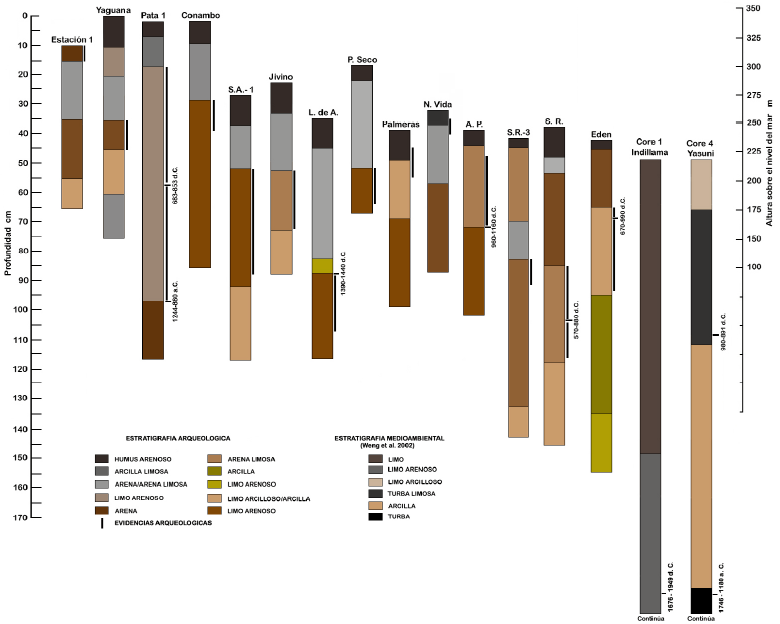 Correlación de perfiles estratigráficos de sitios arqueológicos y dos perfiles estratigráficos medioambientales, en relación a su altura sobre el nivel del mar. Se puede observar el estrato guía de arenas limosas de color gris, que puede ser asociado a una inundación regional.