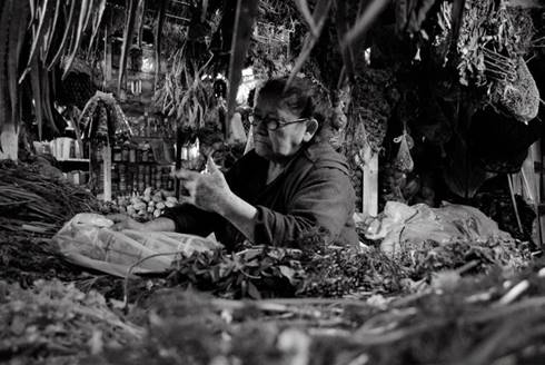 Yerbatera. Los saberes del “otro” se encuentran en constante dinámica. Las plantas aromáticas, alimentarias, esotéricas, dulces y amargas, se constituyen en el vademécum de muchas familias, y el mercado es la botica. El correcto manejo y sabia combinación de plantas y esencias es un conocimiento que los “otros” conservan y administran de generación en generación.