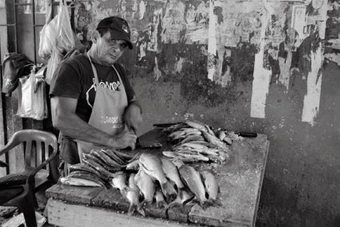 Arroyando o arrollando pescado. Arroyar o arrollar es un vulgarismo que emplean quienes trabajan en la plaza de mercado para referirse a una técnica tradicional para alistar el pescado, en la cual se hacen finos cortes sobre la piel del pez para abrir espacios por los cuales el calor penetre en el animal, garantizando su cocción pareja. Esta actividad es muestra de los saberes de los “otros”, que la mayoría de la población ha olvidado, y que ha generado una especialización.