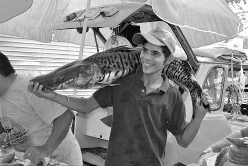 La buena pesca. El pez, antes de tomar la forma de filete o posta, tiene una profunda relación con aquel que lo pesca. El conocimiento, la pericia y el esfuerzo que se requiere para pescar, como la observación de las aguas, la lectura de las corrientes y el respeto del calendario lunar, hace del encuentro entre pez y hombre, un momento especial para el pescador y un motivo de regocijo en el mercado.