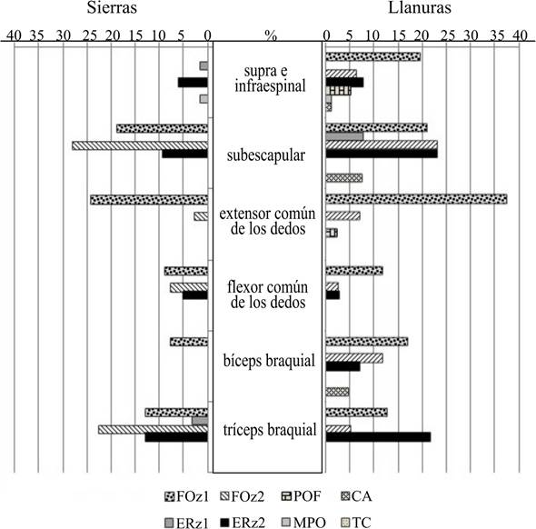 Presencia de cambios entesiales por entesis y procedencia de la muestra.