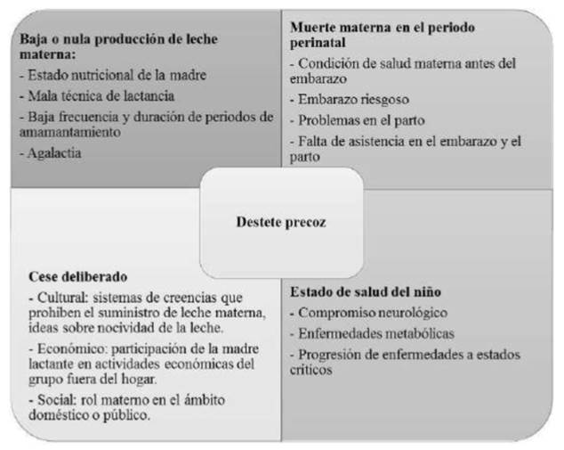 Factores que inciden en el destete precoz
