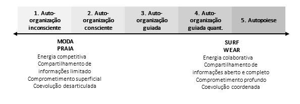 Nível de adaptação complexiva