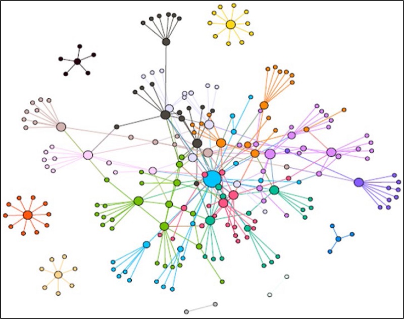 Network communities in the subnetwork. Note: Each color represents a different community.