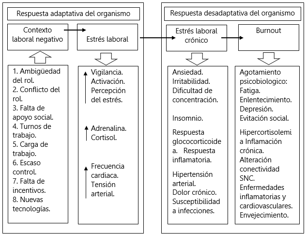 Estr&eacute;s laboral y adaptaci&oacute;n del organismo.