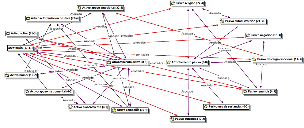 Red sem&aacute;ntica entrevista semiestructurada.