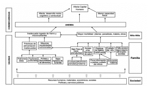 Causas y consecuencias de la anemia en población infantil