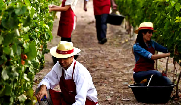 Barrio Santa Mara de los Andes Lujn de Cuyo 2018