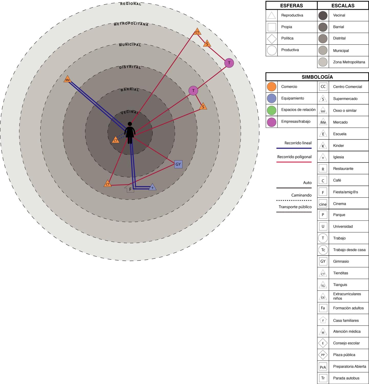 Trabaja en su consultorio dental entre Av. México y Av. Américas. Por las tardes atiende en consultorios de los municipios de Chapala y Ajijic (escala regional), dos tardes a la semana previas citas confirmadas. Las tres tardes que no sale del Área Metropolitana, acude a un gimnasio ubicado cerca de la casa de sus suegros, estando ahí hace compras para llevar a su casa (carnicería, cremería, frutas y verduras), a veces pasa a saludar a sus suegros. Esa colonia le gusta más y considera que los alimentos que ahí compra son de mejor calidad y con más variedad que los que encuentra en su barrio. Los domingos va a casa de sus suegros y van todos juntos a la iglesia cercana.