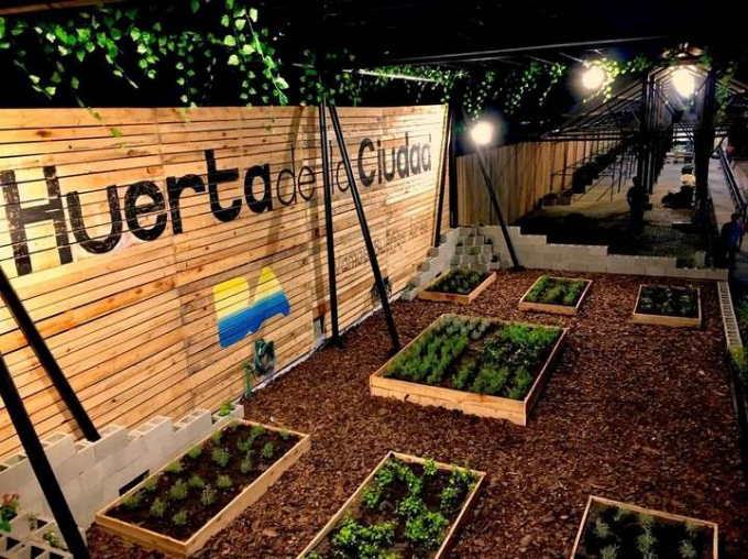 Huerta urbana programa BA Ciudad Verde