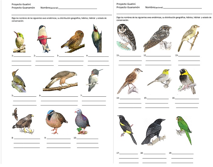  Examen
diagn&oacute;stico realizado.