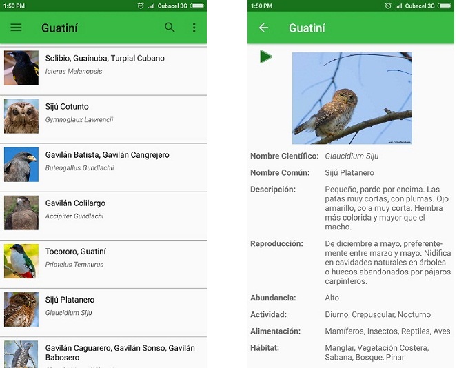 Im&aacute;genes de la aplicaci&oacute;n multimedia