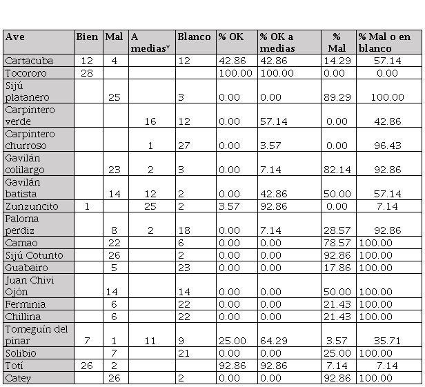 Resultado del diagn&oacute;stico inicial.