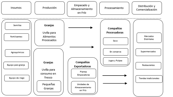 Agentes de la red productiva de la uvilla.