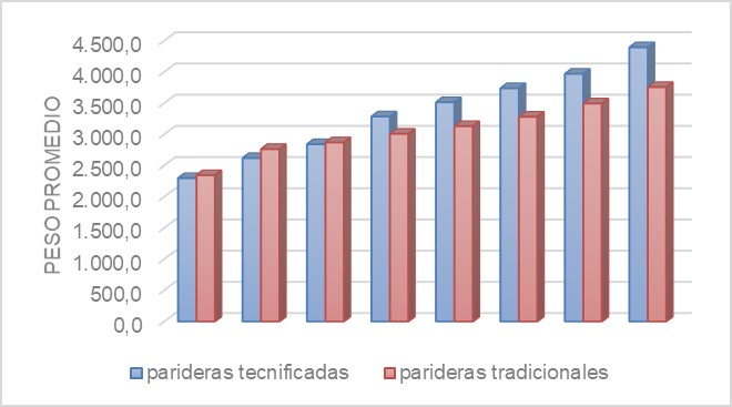 Peso promedio de lechones en jaulas tecnificas y tradiciones