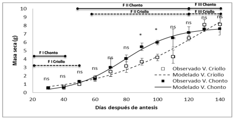 Comportamiento de la masa seca durante el crecimiento y desarrollo de frutos de lulo variedad Chonto grueso y Criollo bajo condiciones agroecológicas del municipio de Pachavita, Boyacá. **Diferencias significativas al 1%, *Diferencias significativas al 5%; ns: No hay diferencias estadísticas, de acuerdo con el ANOVA. Las barras verticales indican el error estándar (n=4). F I. División celular; F II. Elongación celular; F III. Maduración.