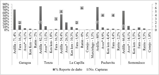 Especies de fauna silvestre y cantidad de ejemplares que afectan cultivos en las veredas objeto de estudio, de acuerdo con porcentaje de da&ntilde;o reportado por encuestas y captura en trampas y fotograf&iacute;as.