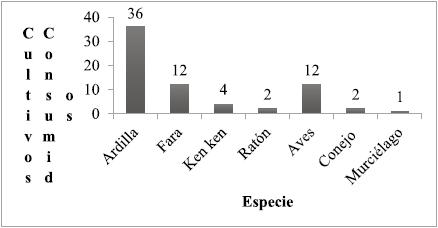 Fauna silvestre y n&uacute;mero de cultivos que afecta, seg&uacute;n las encuestas.