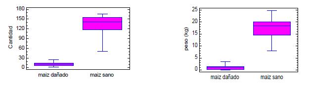 Gr&aacute;ficas de cajas y bigotes para peso (kg) y cantidad de ma&iacute;z sano y da&ntilde;ado totales de los tratamientos, por fauna silvestre en los dos cultivos del municipio de La Capilla.