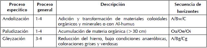 Procesos específicos en la formación del suelo en el Valle de Sibundoy, Colombia.