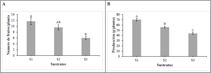 Comportamiento de planta de fresa cv &lsquo;Albi&oacute;n&rsquo; cultivadas en diferentes sustratos. S1: suelo 50% +fibra de coco 50%; S2: suelo 50%+ fibra de coco 25%+ cascarilla de arroz 25%; S3: suelo 50%+cascarilla de arroz 50%.