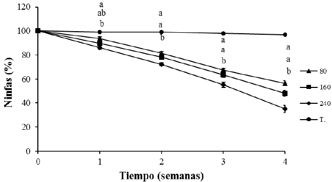 Variaci&oacute;n en el porcentaje de infestaci&oacute;n de individuos de T. vaporariorum por el efecto regulador del estado larval de C. externa durante el tiempo de evaluaci&oacute;n.