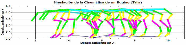 Fragments of the simulation of the movement of the horse at different speeds.
