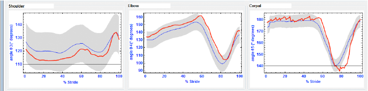 Kinematic curves of hind-limb joints (horse vs. normality band), generated by the GUI.