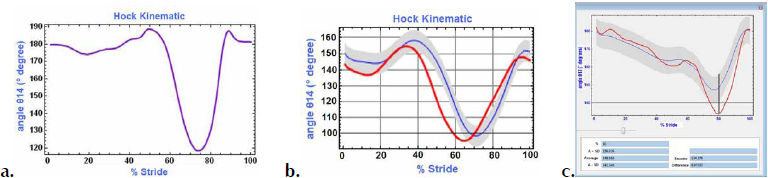 Curve classes generated by the different kinematic analyses