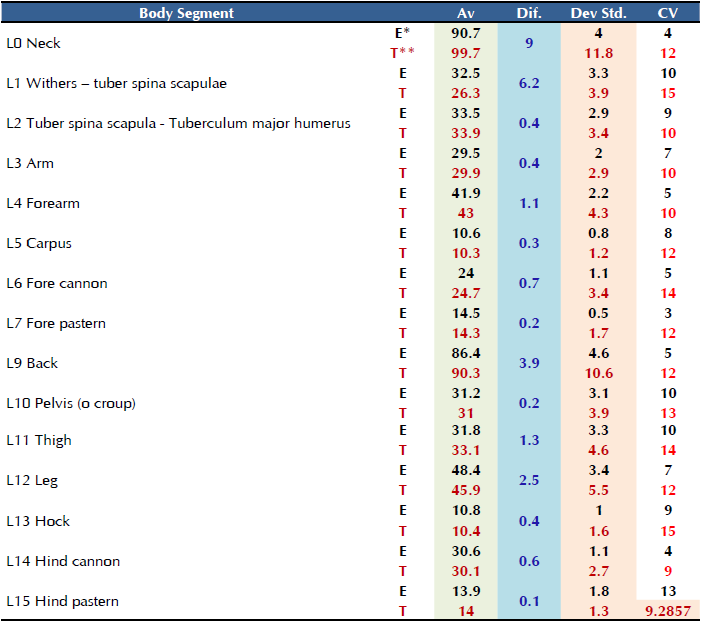 Horse body segments magnitudes