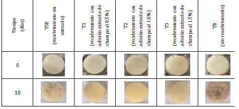Efecto de los recubrimientos sobre el color de la papa m&iacute;nimamente procesada durante el almacenamiento