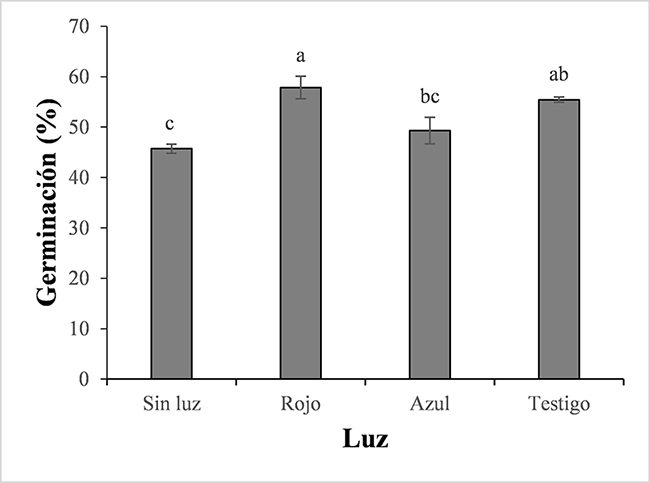 Efecto de la luz sobre el porcentaje de germinaci&oacute;n de semillas de champa (Campomanesia lineatifolia R. & P). Promedios seguidos de letras diferentes presentan diferencias estad&iacute;sticas de acuerdo con la prueba de DMS (p<0,05). Las barras verticales en cada promedio indican el error est&aacute;ndar.
