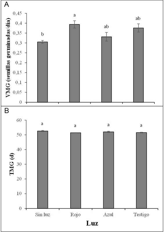 Efecto de la luz sobre A) la velocidad media de germinaci&oacute;n y B) el tiempo medio de germinaci&oacute;n de semillas de champa (Campomanesia lineatifolia R. & P). Promedios seguidos de letras diferentes presentan diferencias estad&iacute;sticas de acuerdo con la prueba de DMS (p<0,05). Las barras verticales en cada promedio indican el error est&aacute;ndar.
