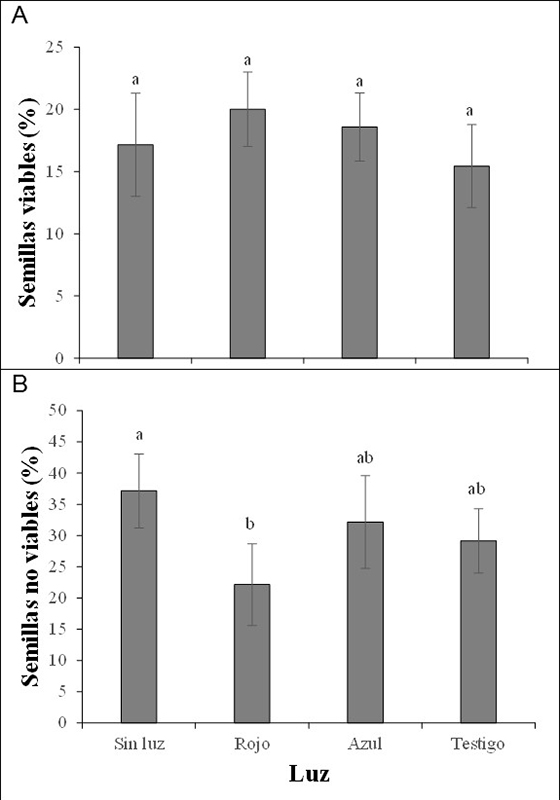 Porcentaje de semillas viables A) y porcentaje de semillas no viables B) de champa (Campomanesia lineatifolia R. & P) sometidas a diferentes tipos de luz. Promedios seguidos de letras diferentes presentan diferencias estad&iacute;sticas de acuerdo con la prueba de DMS (p<0,05). Las barras verticales en cada promedio indican el error est&aacute;ndar (n=4)