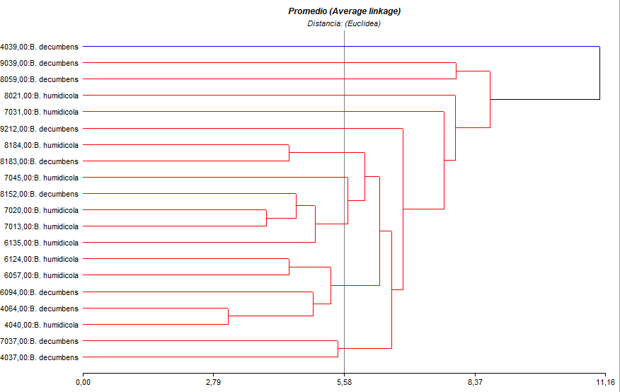 Fig. 3. Tipificación por conglomerados de subsistemas de pasturas en predios de trópico húmedo, Caquetá, Colombia