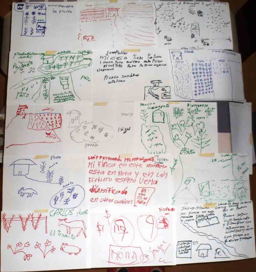 Fotografía 1. Visión a futuro de la finca productiva.