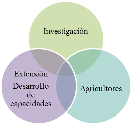 Fig. 5. modelo en red.
