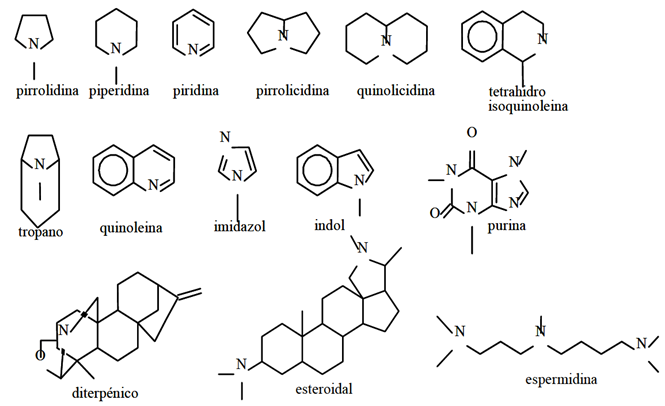 Algunos núcleos alcaloidicos.