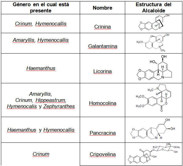 Estructuras de alcaloides presentes en los géneros Amaryllis, Crinum, Hymenocallis, Hippeastrum, Haemanthus y Zephyranthes de la familia Amaryllidaceae