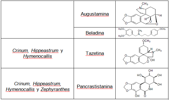Estructuras de alcaloides presentes en los géneros Amaryllis, Crinum, Hymenocallis, Hippeastrum, Haemanthus y Zephyranthes de la familia Amaryllidaceae