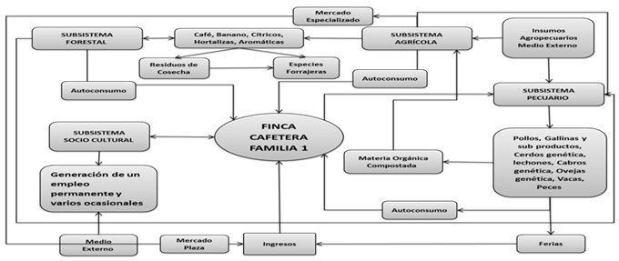 Finca cafetera familia 1