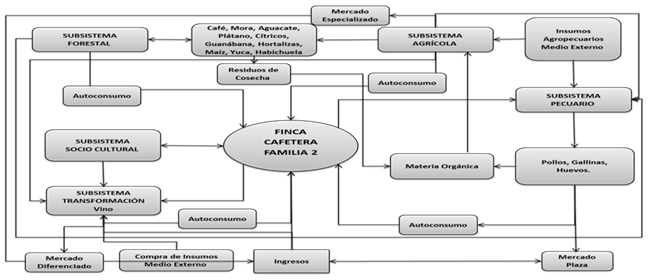 Finca cafetera familia 2