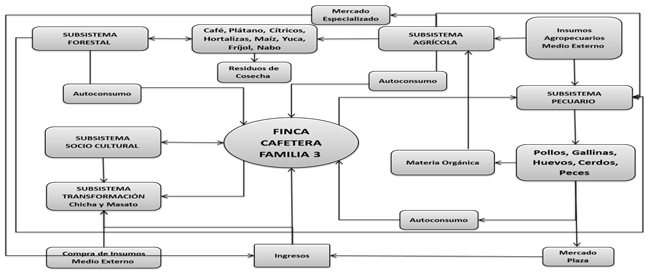 Finca cafetera familia 3