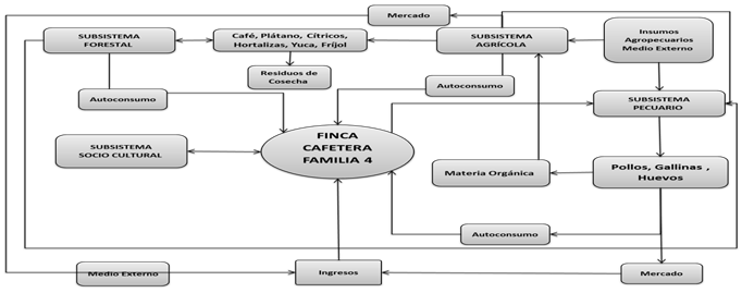 Finca cafetera familia 4