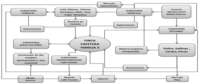 Finca cafetera familia 5