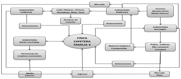 Finca cafetera familia 6