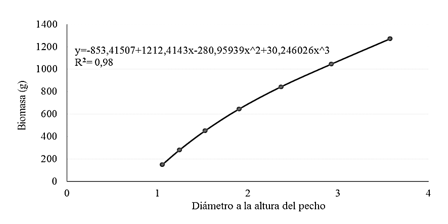 Comportamiento de la biomasa seca total de Albizia carbonaria en funci&oacute;n del di&aacute;metro a la altura de pecho.